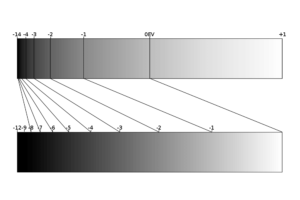 Linear Distribution versus Gamma Corrected Distribution translated