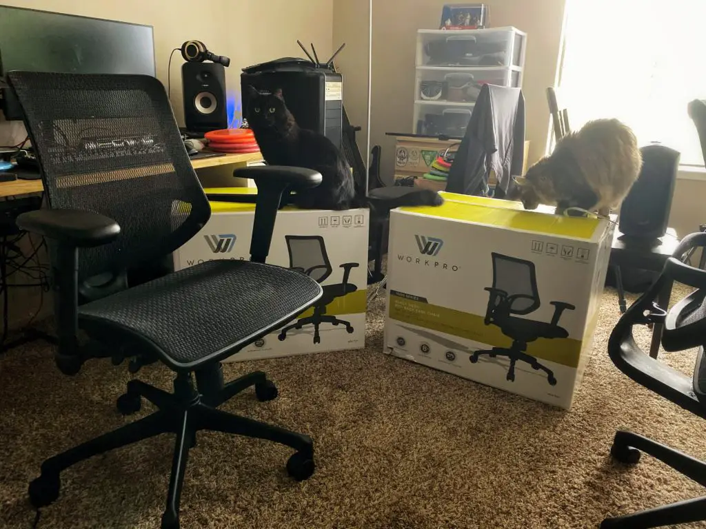 Workpro 1000 Series home office chairs: cats-approved